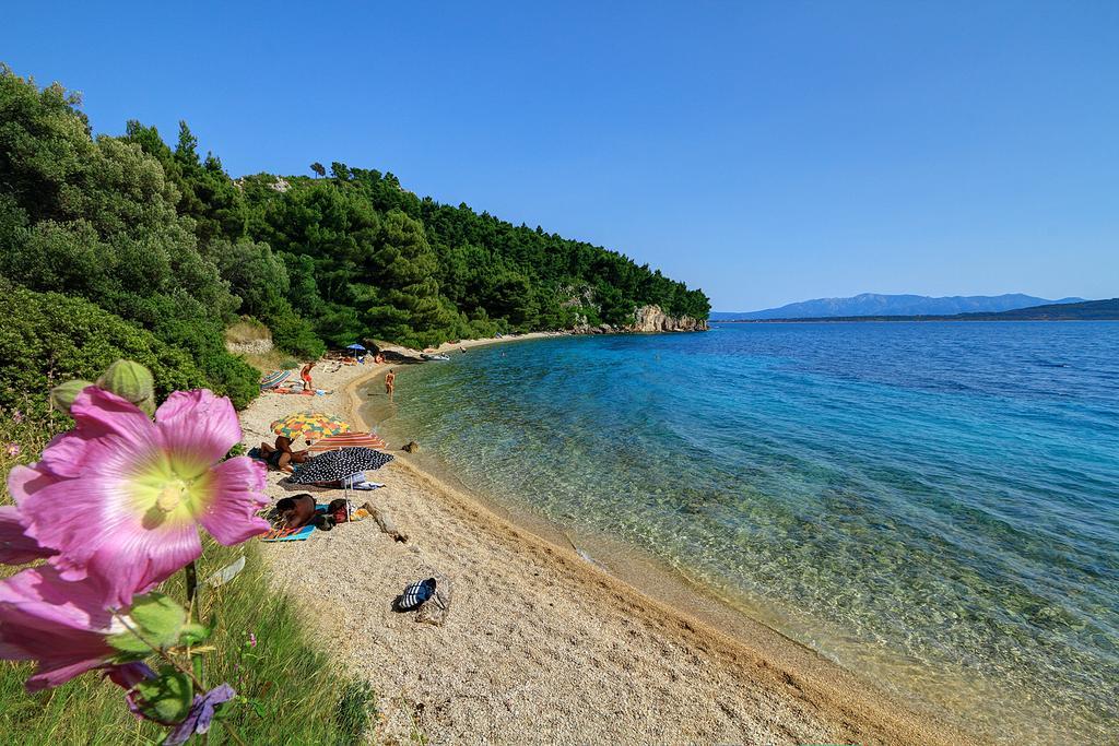 Camp Dole Zivogosce - Mobile Home And Glamping Tent 외부 사진